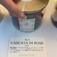 画像352