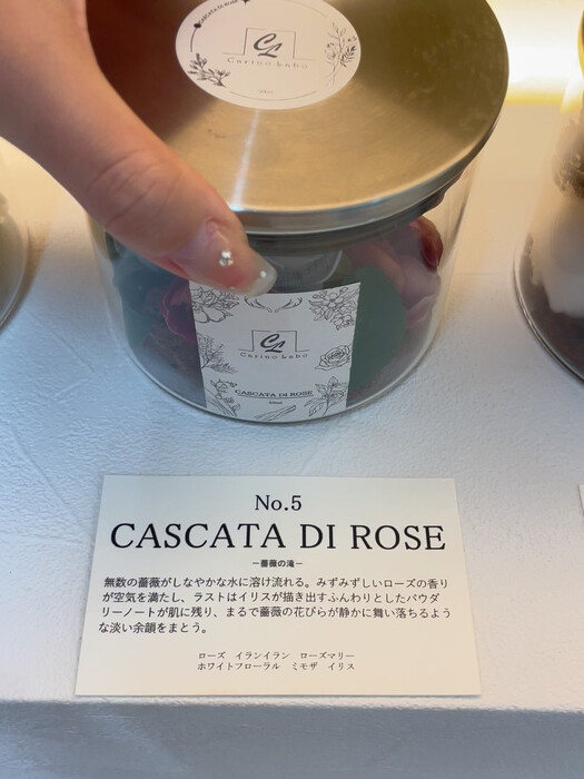 画像352