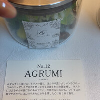 画像369