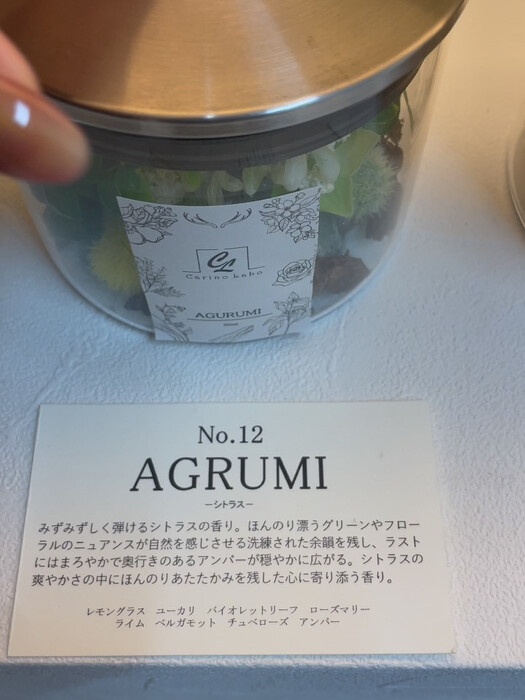 画像369