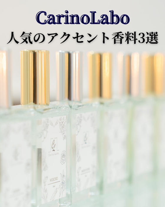 画像515