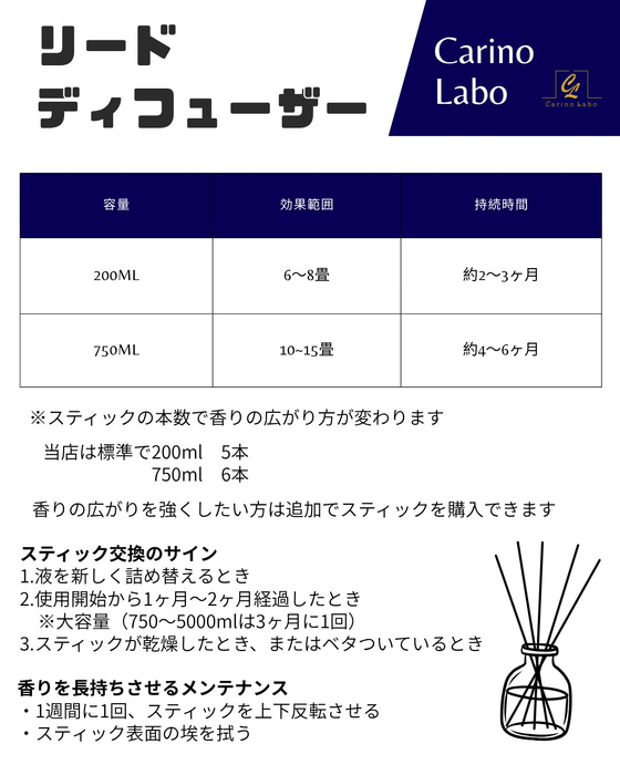 画像539